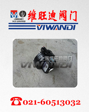WVC-300 N1放大器-WEIR放